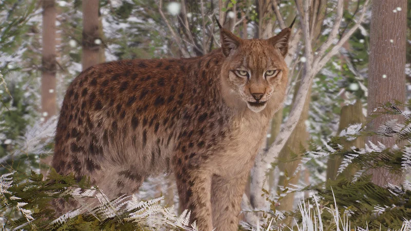 Eurasian lynx in Planet Zoo 2 perched on a rocky ledge in a taiga habitat