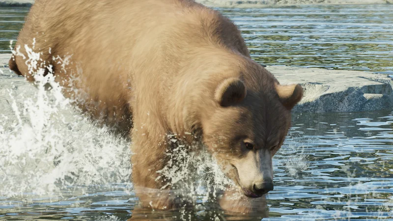 Grizzly bear in Planet Zoo 2 foraging in a temperate forest habitat
