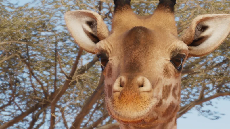Masai giraffe browsing from a suspended high feeder in Planet Zoo 2