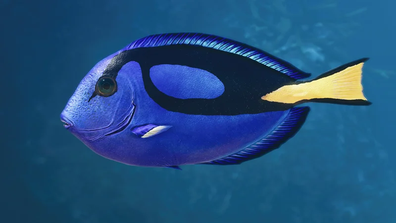 Palette surgeonfish in Planet Zoo 2