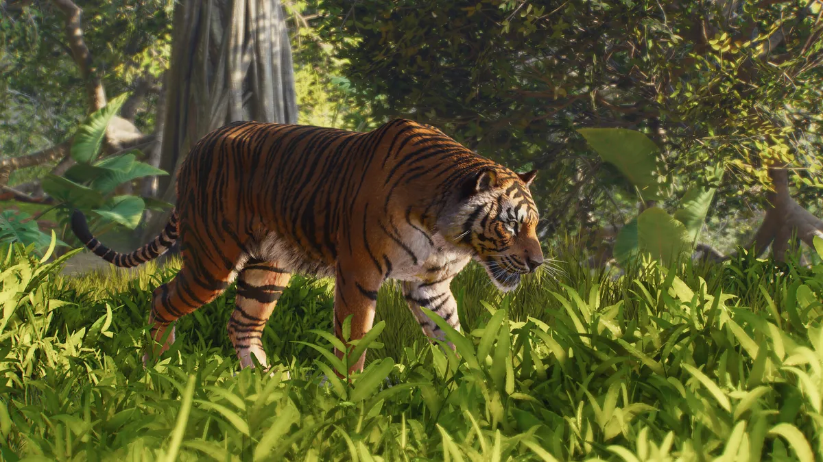 A tiger resting in dense tropical jungle planting in Planet Zoo 2