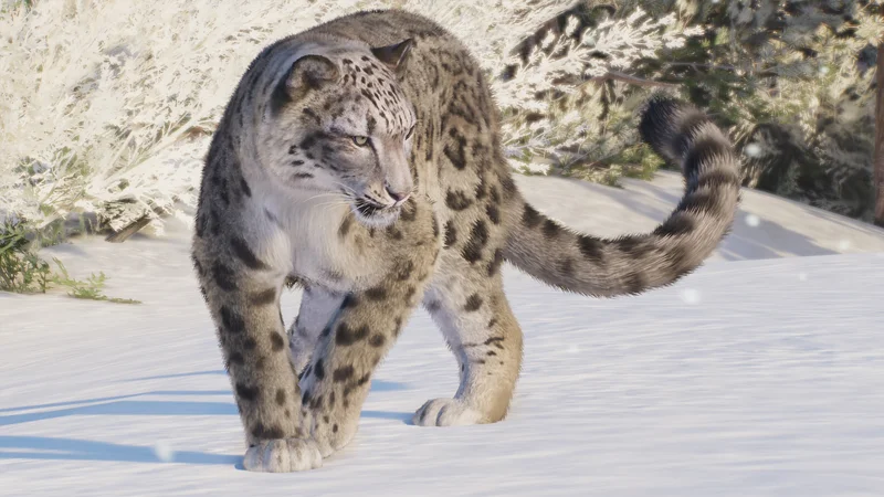 snow leopard in Planet Zoo 2