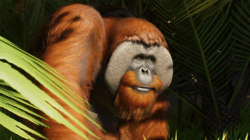 sumatran orangutan in Planet Zoo 2