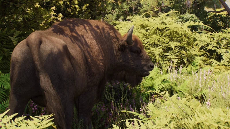Swedish taiga reserve with pine forest, wetlands, and brown bear habitat in Planet Zoo 2