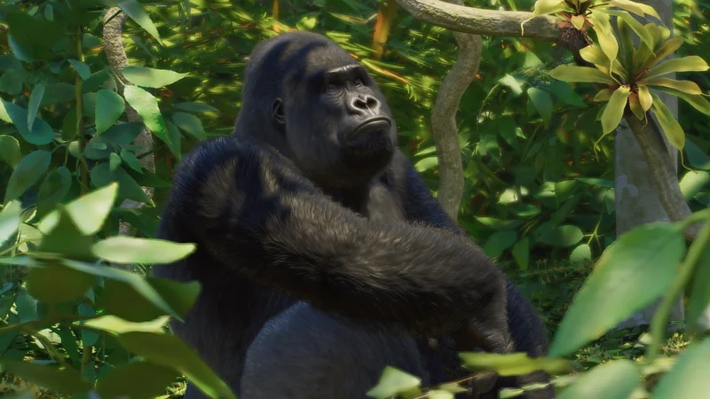 A western lowland gorilla family group in a rainforest habitat in Planet Zoo 2